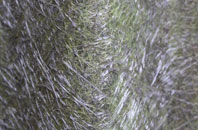 Clifton Reynes fibreglass roof work